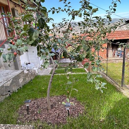 The Heart Of Sarajevo Apartment Exterior photo